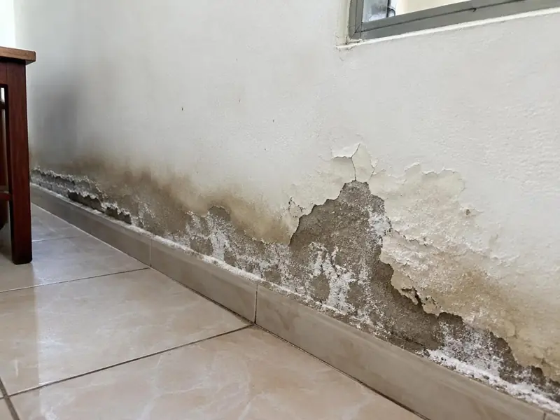 Umidade que sobe do chão